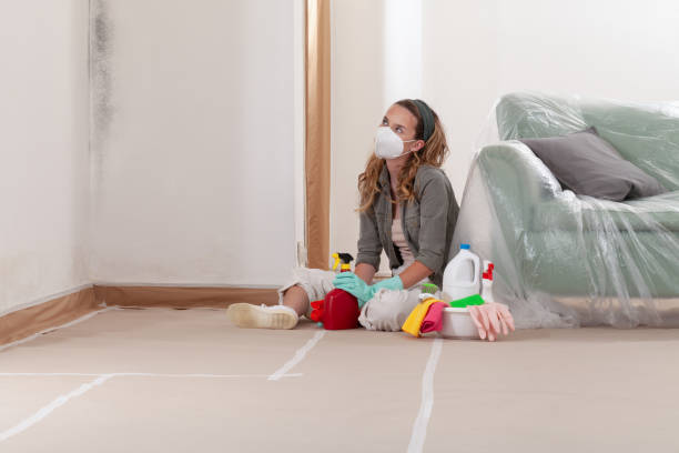 Reliable Mold Cleanup contractor in Jarratt, VA by Cheap Mold Removal