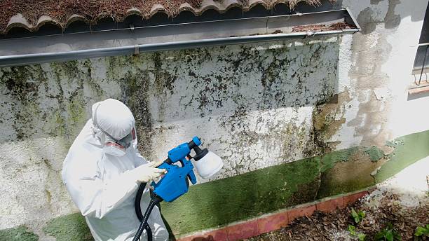 Trusted Mold Testing service in Jarratt, VA - Cheap Mold Removal